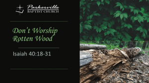 Don't Worship Rotten Wood. Isaiah 40:18-31